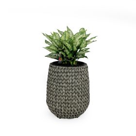 13.4" Self-watering Wicker Planter - Garden Decoration Pot - Gray - Round