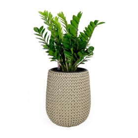 17.3" Self-watering Wicker Planter - Garden Decoration Pot - Beige - Round