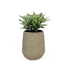 13.4" Self-watering Wicker Planter - Garden Decoration Pot - Beige - Round