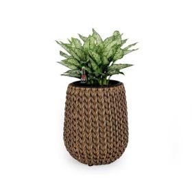 13.4" Self-watering Wicker Planter - Garden Decoration Pot - Natural - Round