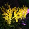 Outdoor Garden Patio Pathway Porch Backyard, LED Canola Flower Stake Light