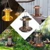 Bird Feeder Weather Resistance Cage Outdoor Refill Solar Night Light